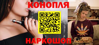 мдпв Бийск