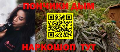 мдпв Бийск