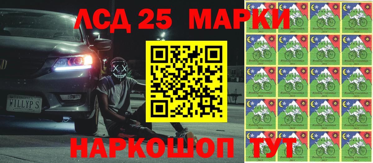 APVP Камышлов