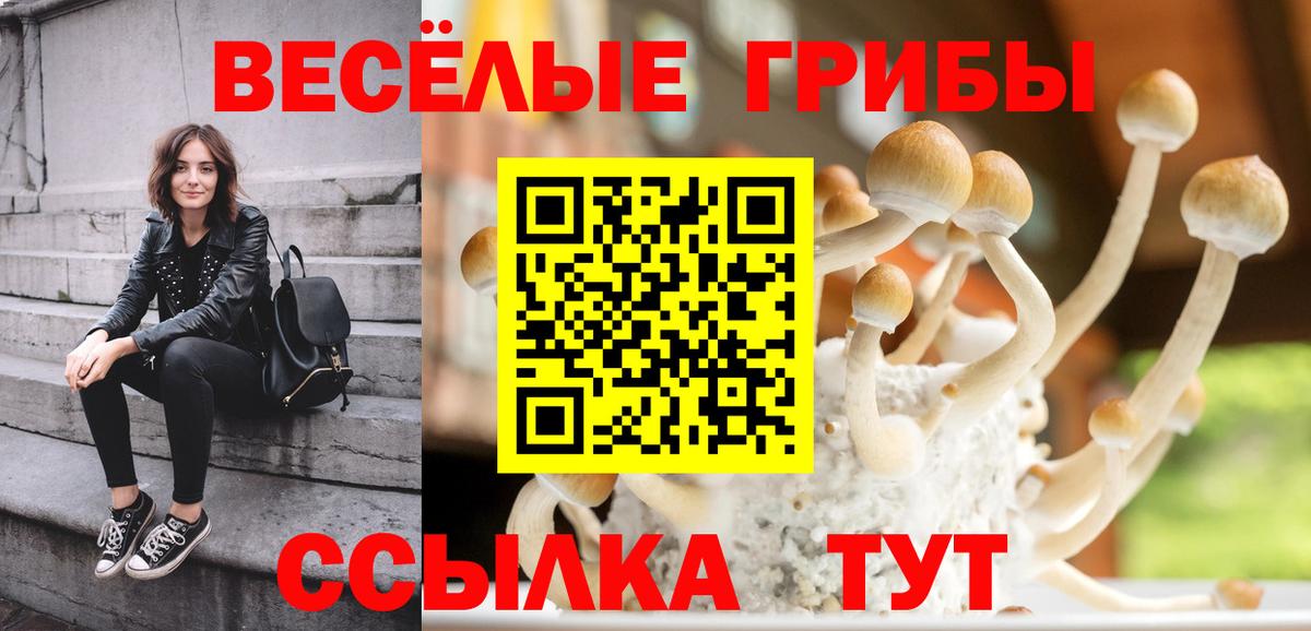 Псилоцибиновые грибы Psilocybe  Вход с VPN  Камышлов 